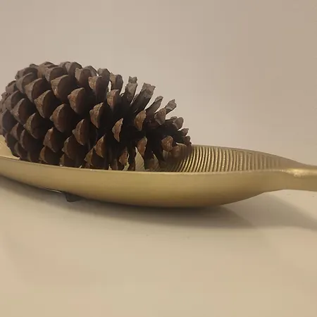 Appartement The Moon